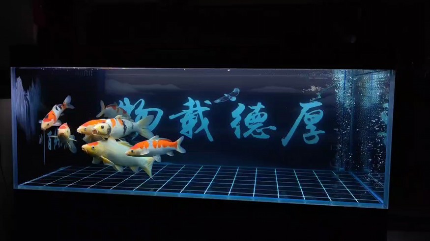 夜晚的地缸
