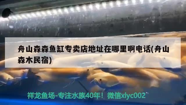 北京魚友水族館(北京魚友水族館地址) 全國水族館企業名錄 第1張 北京魚友水族館(北京魚友水族館地址) 北京魚友水族館(北京魚友水族館地址) 全國水族館企業名錄 第1張