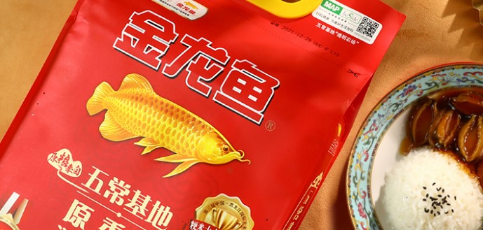 紅龍魚品相怎么看圖解（紅龍魚品相怎么看圖解視頻）