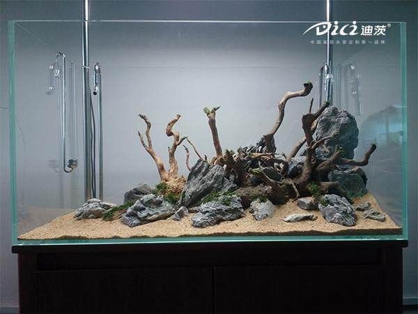 成品魚缸那么高怎么造景的：三度空間水草魚缸造景三度空間水草魚缸造景布景法
