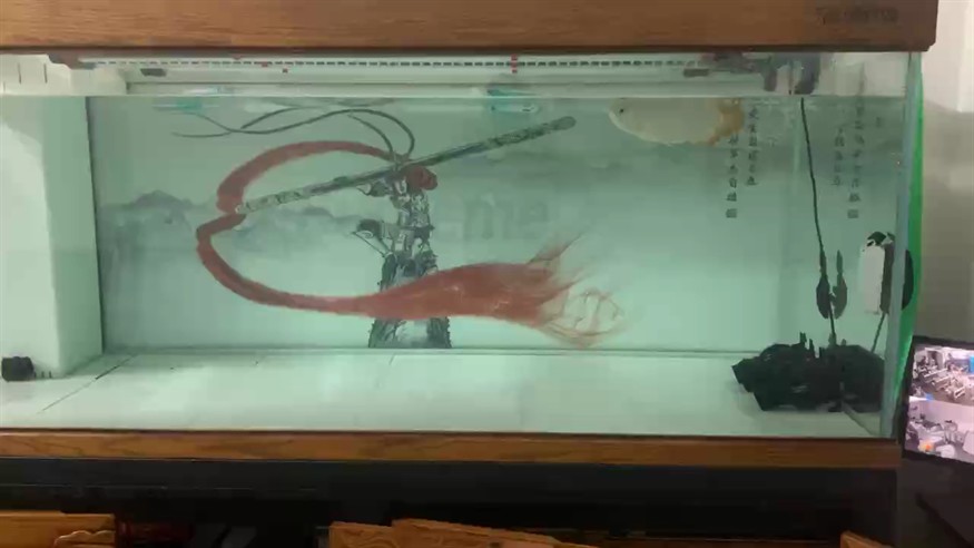 又是換水的一晚上