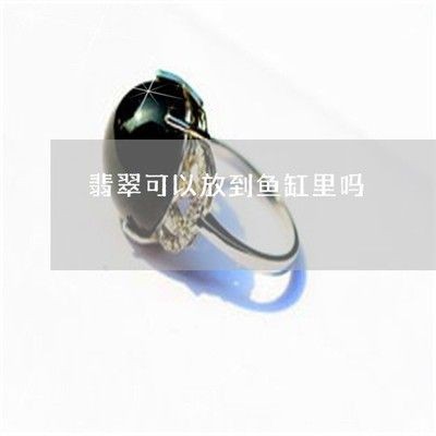 把翡翠放在魚缸里好嗎：把翡翠放在魚缸里好不好？