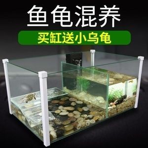 玻璃魚缸外側有小裂紋：如何修補玻璃魚缸的裂紋