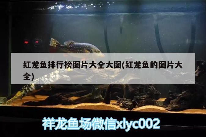 銀川哪里有賣(mài)魚(yú)缸的實(shí)體店？，銀川哪里有賣(mài)魚(yú)缸的實(shí)體店啊圖片和銀川佳寶魚(yú)缸專賣(mài)在哪