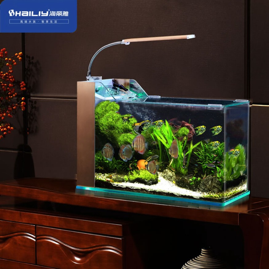 西寧市城西區(qū)森森水族館（西寧市城西區(qū)森森水族館電話）
