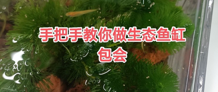 廣州市增城祥景水族館（廣州市增城祥景水族館電話）