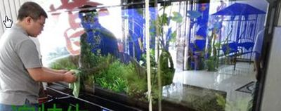 大魚缸怎么把水抽干凈：如何將大魚缸中的水抽干凈的方法有效地將大魚缸中的水抽干凈