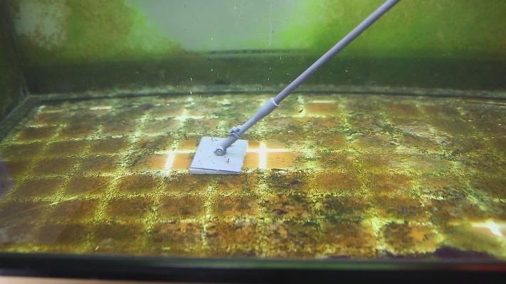 大魚缸清洗工具有哪些品牌：與大魚缸清洗工具相關的品牌是一些與大魚缸相關的品牌