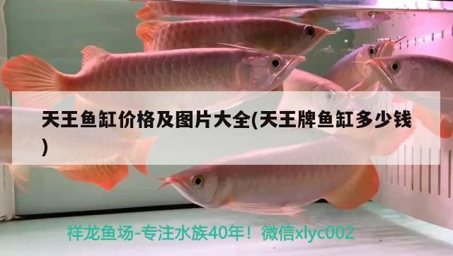天王魚缸價格及圖片大全(天王牌魚缸多少錢)