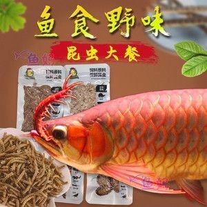 紅龍魚配什么燈好看又漂亮（紅龍魚配什么燈好看又漂亮圖片）