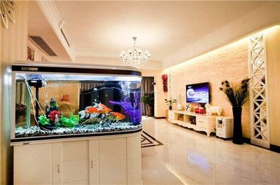 大型玻璃魚缸制作視頻：大型玻璃魚缸制作步驟在觀看大型魚缸做法視頻教程