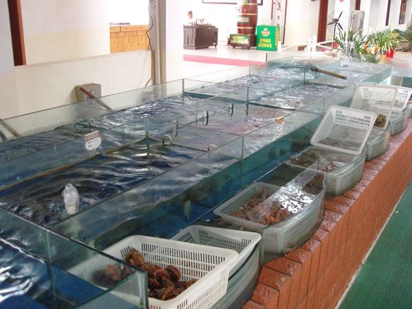 大型玻璃魚缸制作視頻：大型玻璃魚缸制作步驟在觀看大型魚缸做法視頻教程