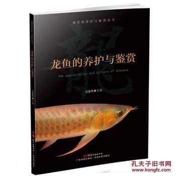 龍魚的養護與鑒賞作文300字左右怎么寫的呀