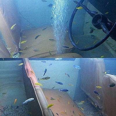 大魚缸滲水怎么補漏,用補漏劑：大型魚缸滲水的補漏方法
