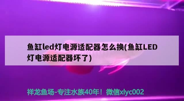 魚缸led燈電源適配器怎么換(魚缸LED燈電源適配器壞了) 魚缸led燈電源適配器怎么換(魚缸LED燈電源適配器壞了) 銀龍魚百科