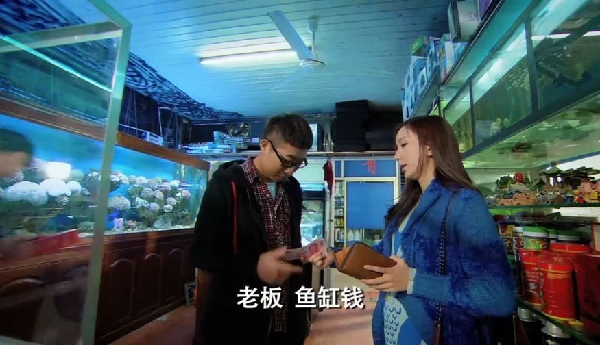 愛情公寓買魚缸：《愛情公寓》中的魚缸情節