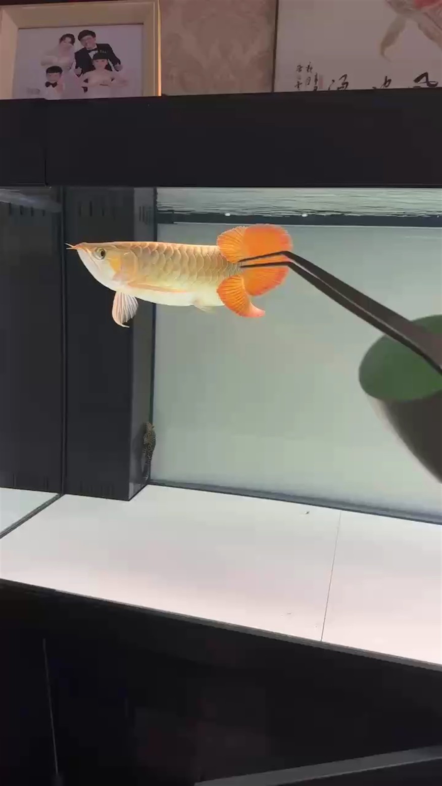 日常互動