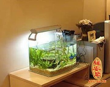 紅龍魚增色用什么燈好呢圖片（紅龍魚增色用什么燈好呢圖片大全）