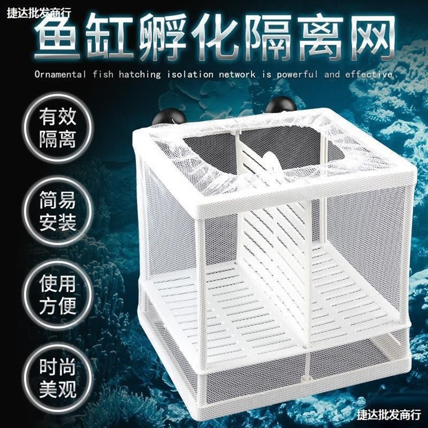 斗魚魚缸底部鋪什么好：如何選擇適合斗魚的魚缸底部材料