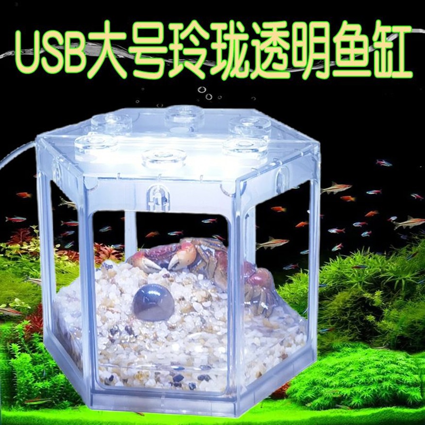 斗魚魚缸底部鋪什么好：如何選擇適合斗魚的魚缸底部材料