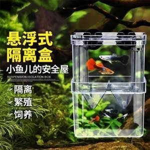 大魚缸隔離盒養小魚：大魚缸隔離盒養小魚需要注意水質管理、水質管理的要點 大魚缸隔離盒養小魚：大魚缸隔離盒養小魚需要注意水質管理、水質管理的要點 魚缸百科 第4張