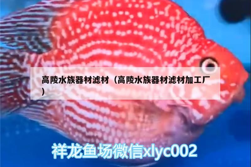 高陵水族器材濾材（高陵水族器材濾材加工廠）