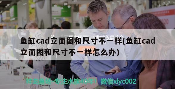 觀賞魚種類及其名稱及其名稱圖片觀賞魚種類及其名稱，常見觀賞魚種類及其名稱