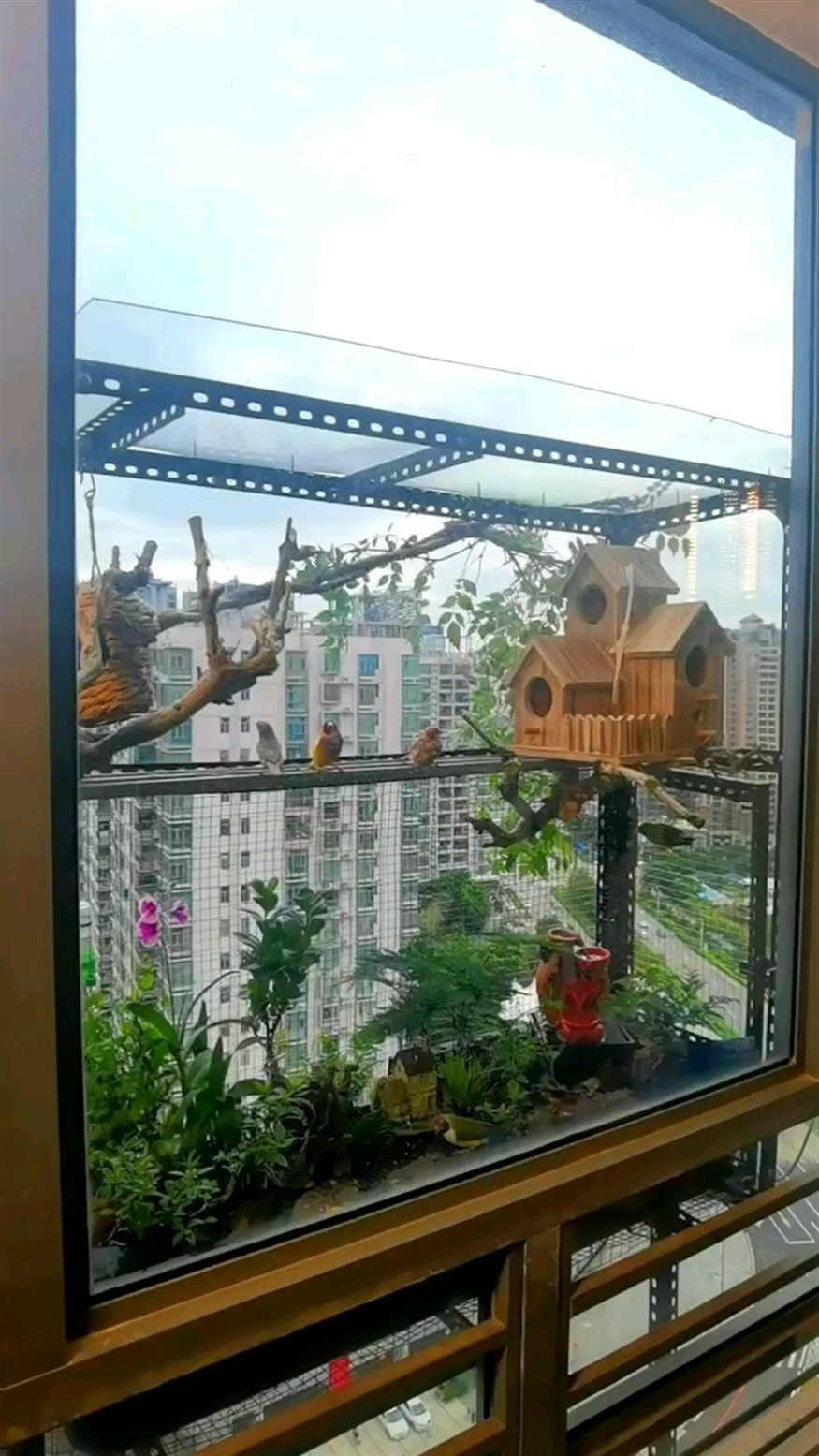 移情別戀了