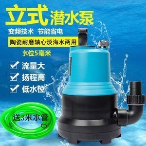 紅龍魚高清視頻在線觀看網站（紅龍魚高清視頻在線觀看網站免費）