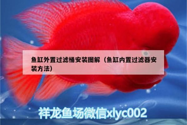 鄒平長山海洋水族館(鄒平長山海洋水族館電話) 全國水族館企業名錄 第1張 鄒平長山海洋水族館(鄒平長山海洋水族館電話) 鄒平長山海洋水族館(鄒平長山海洋水族館電話) 全國水族館企業名錄 第1張