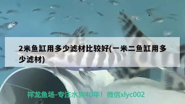 德州市德城區藍鯨水族館（德州市德城區藍鯨水族館地址） 德州市德城區藍鯨水族館（德州市德城區藍鯨水族館地址） 全國水族館企業名錄 第2張