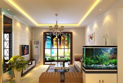 對入戶門放魚缸好嗎：放魚缸在入戶門的位置在風水學中的位置在風水學中的作用
