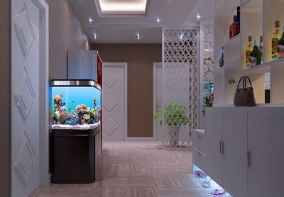 對入戶門放魚缸好嗎：放魚缸在入戶門的位置在風水學中的位置在風水學中的作用