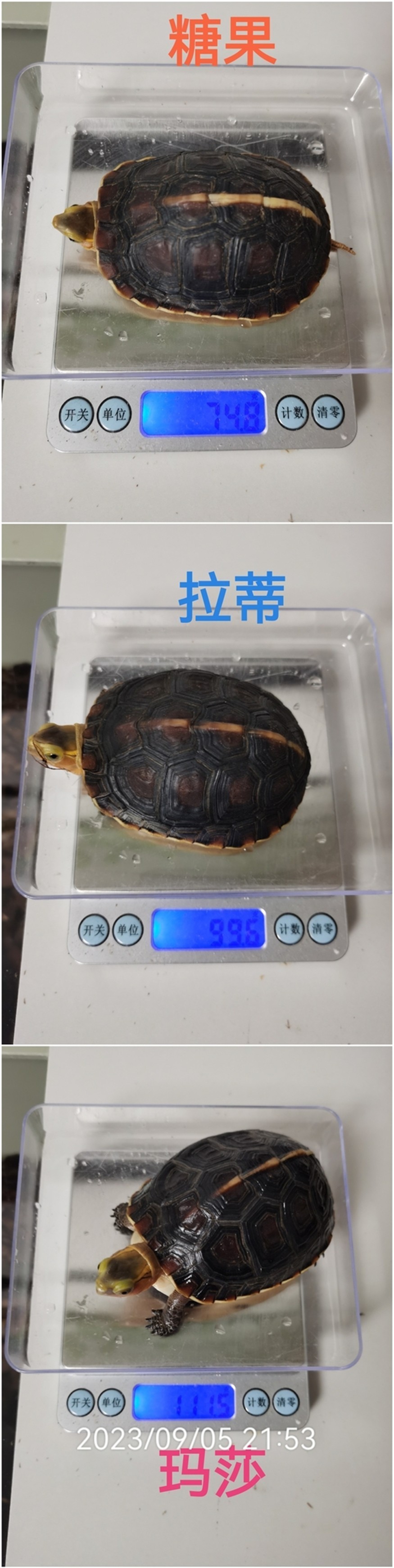 又長(zhǎng)大啦不少，加油