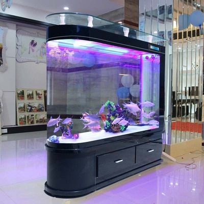 超白魚缸和浮法魚缸哪個(gè)好養(yǎng)：超白玻璃魚缸的特點(diǎn)
