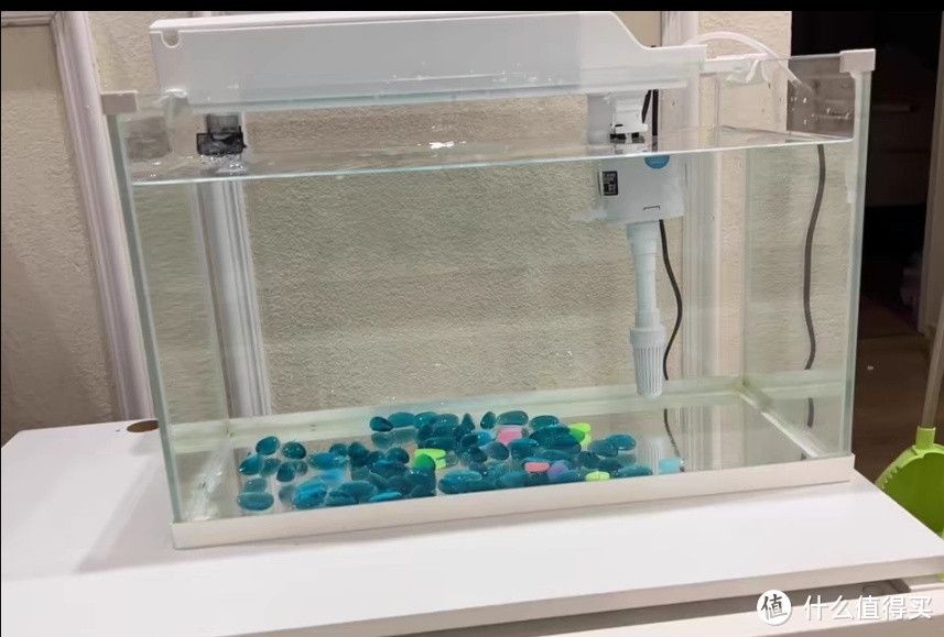 超白玻璃魚缸好不好養：超白玻璃魚缸優勢