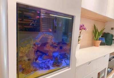 大魚缸怎么裝飾：大魚缸裝飾魚缸風水知識不僅要考慮美觀還要考慮美觀