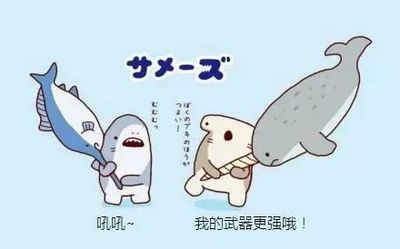 呆萌小鯊魚（呆萌小鯊魚是一種什么樣的存在？）