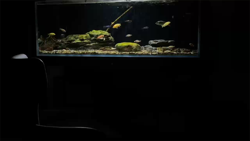 收三湖