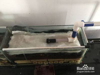 瓷盆魚缸過濾器怎么安裝：瓷盆魚缸過濾器安裝方法