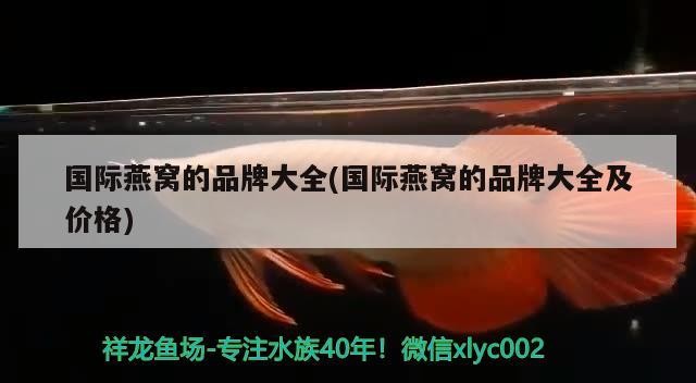 太北虎和泰虎的區別，如何讓虎魚不躲在角落