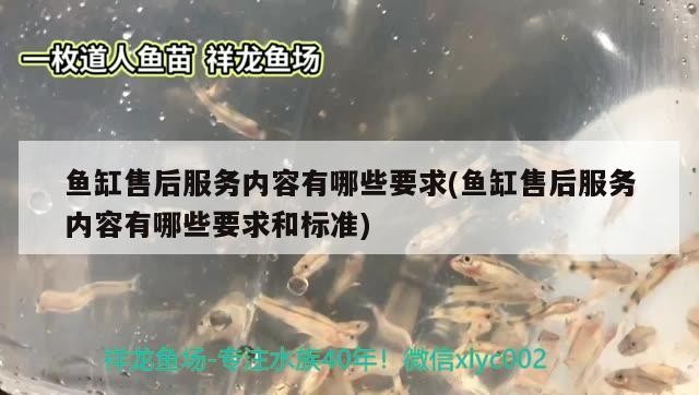 太北虎和泰虎的區別，如何讓虎魚不躲在角落