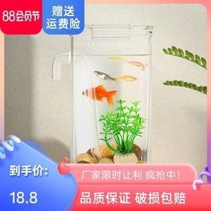 帶蓋的魚缸好不好養：如何選擇合適的魚缸蓋