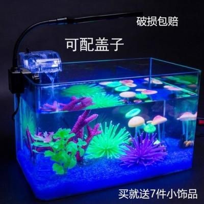 帶蓋的魚缸好不好養：如何選擇合適的魚缸蓋
