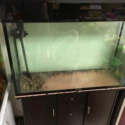 林州市開元區熱帶雨林水族館（林州市開元區熱帶雨林水族館電話） 林州市開元區熱帶雨林水族館（林州市開元區熱帶雨林水族館電話） 全國水族館企業名錄 第1張