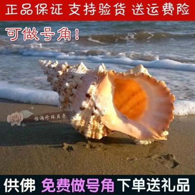 出售二手魚缸去哪個網站好：二手魚缸出售平臺