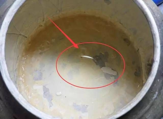 大魚缸如何清潔水垢視頻：如何有效清潔大魚缸的水垢