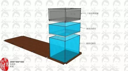 側(cè)濾魚(yú)缸怎么做到干濕分離的：側(cè)濾魚(yú)缸如何實(shí)現(xiàn)干濕分離