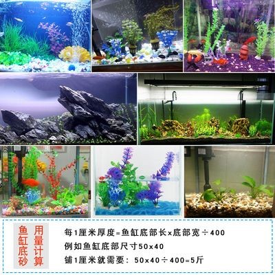 白色石頭魚缸造景圖：關于白色石頭魚缸造景的一些相關信息