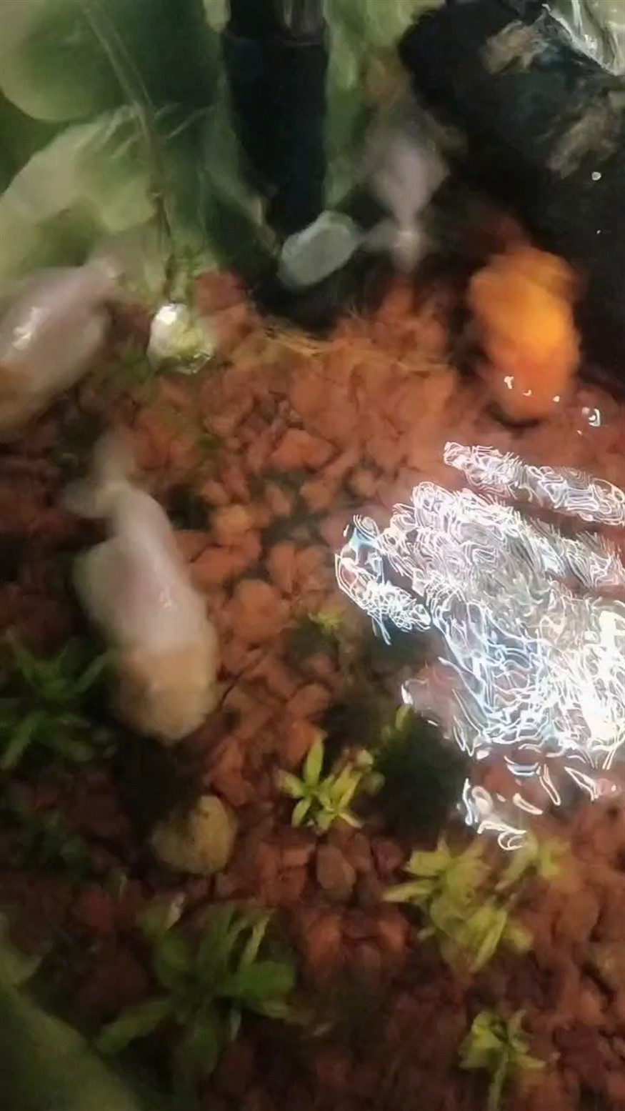 精品不